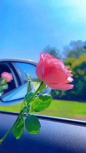 فولکور خراسانی ترکی – منه قالدی سنن حسرت جوانلیق