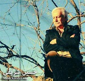 آهنگ اینجا آینده با صدای حسین شریفی رووناکی