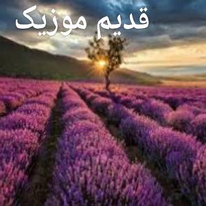 بی کلام گل آفتاب گردون گل افتاب گردون نازنین سرگردون