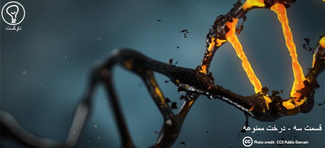 آهنگ قسمت سه  قسمت سه - درخت ممنوعه