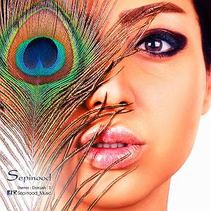 Habib - Donya_Donid Remix یه دنیا از تو ممنونم(remix)