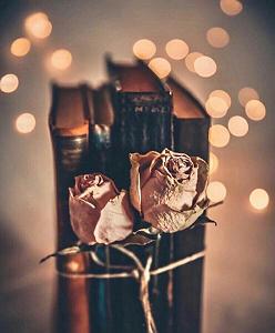 شهیاد حلقه طلایی ریمیکس – عزیزم توی لباس زر زری نشستی