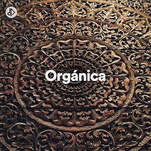 داستان خاراندن بی موقع!! Voodoo Guitar (Timboletti Remix)