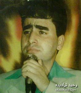 هوای شخله ی پارک! وحید ترادیده له ویرانه ی دل