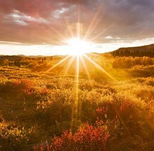 سیاوش قمیشی طلوع من