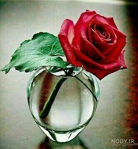 اهنگ دوست دارم دیونتم از طاهره فلاحتی – دوست دارم به اون خدا به اون خدای عاشقا