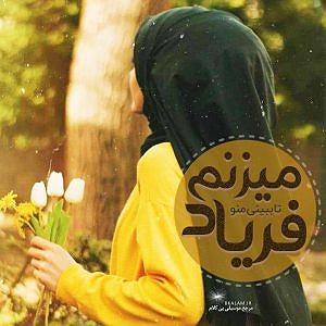 آلبوم فکر و فریاد فریاد میزنم