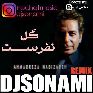 احمدرضا نبی زاده ریمیکس واسه من احمد‌رضا نبی‌زاده (دیگه از دوست دارم حرفی نزن)