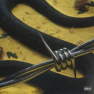 آهنگ راک چاک راک استار (Rockstar) از Post Malone