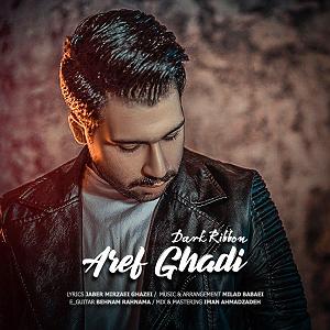 آلبوم آینه قدی robane tire