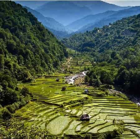 دانلود آهنگ های شاد محلی مازندرانی 
