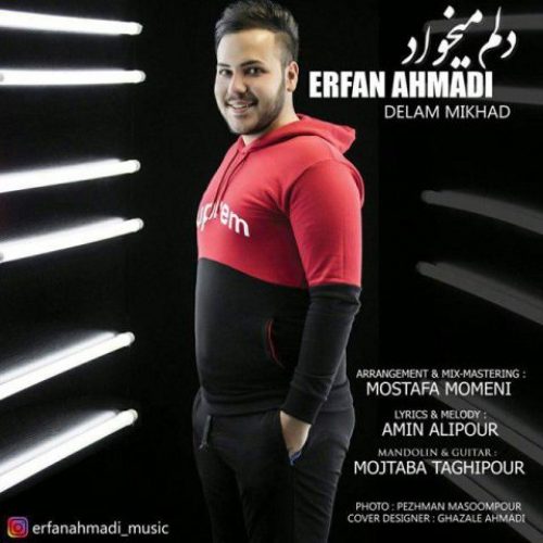  	متن آهنگ عرفان احمدی دلم میخواد 
 