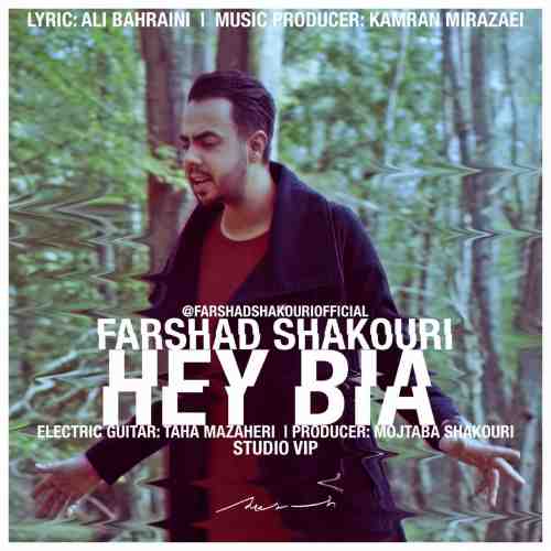  	متن آهنگ&nbsp;فرشاد شکوری هی بیا 
 